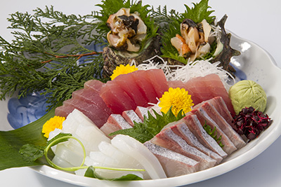 尾鷲の魚