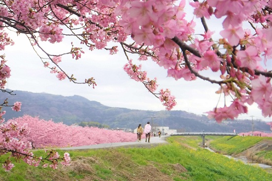 �`����h����Ȃ݂̍�