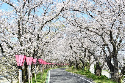 �u���͐�~�����̓y��