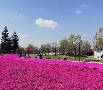 �~�T�T�K�p�[�N�ō�