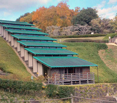 �D���̗������̘A�[���o�q