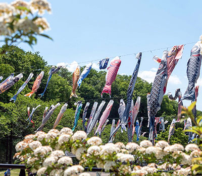 �����̂ڂ��