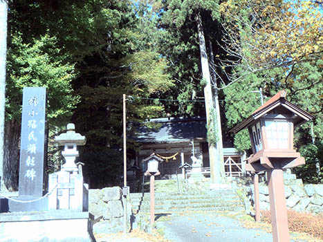 ���c�_��