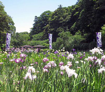 �T�R����