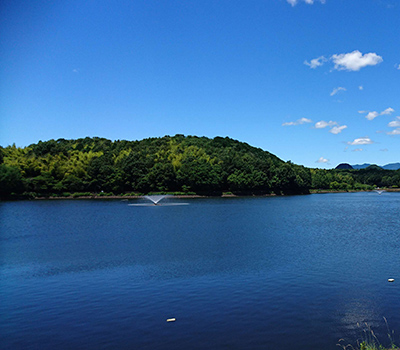 中池公園