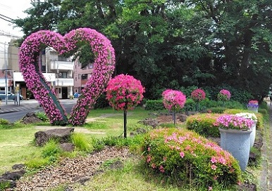 �����@�O