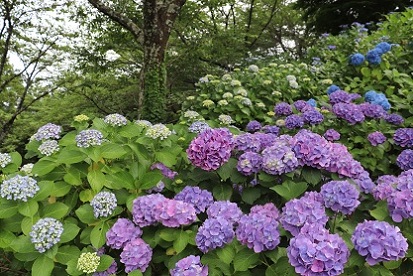 �암���������܂�