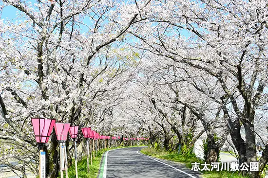 志太河川敷公園