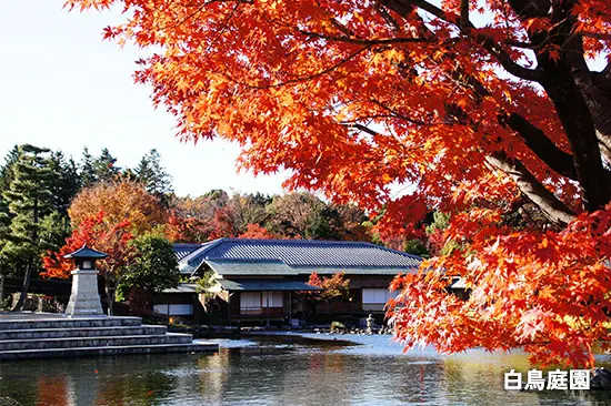 白鳥庭園