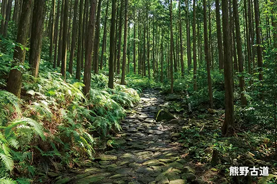 熊野古道