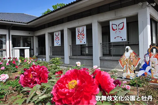 歌舞伎文化公園と牡丹