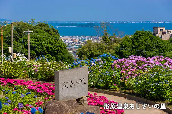 形原温泉あじさいの里