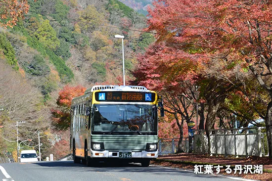 紅葉する丹沢湖
