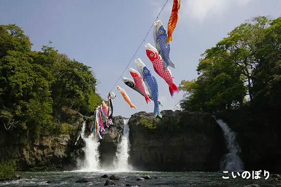 こいのぼり