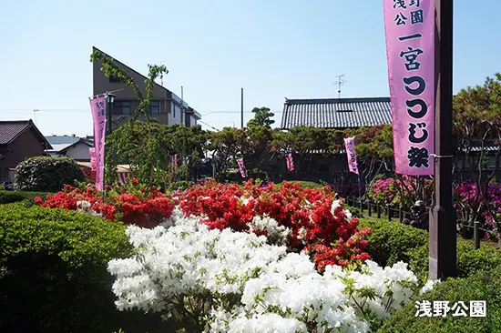 浅野公園 