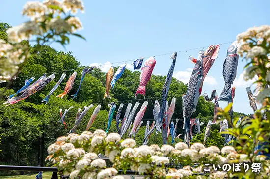 こいのぼり祭
