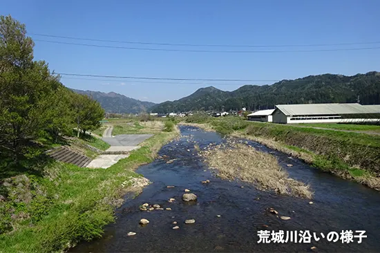 荒城川沿いの様子
