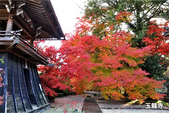 玉龍寺