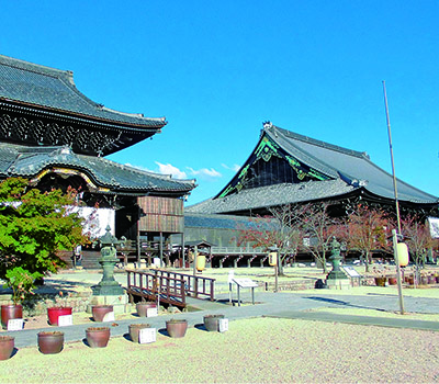 国宝高田本山専修寺 如来堂・御影堂
